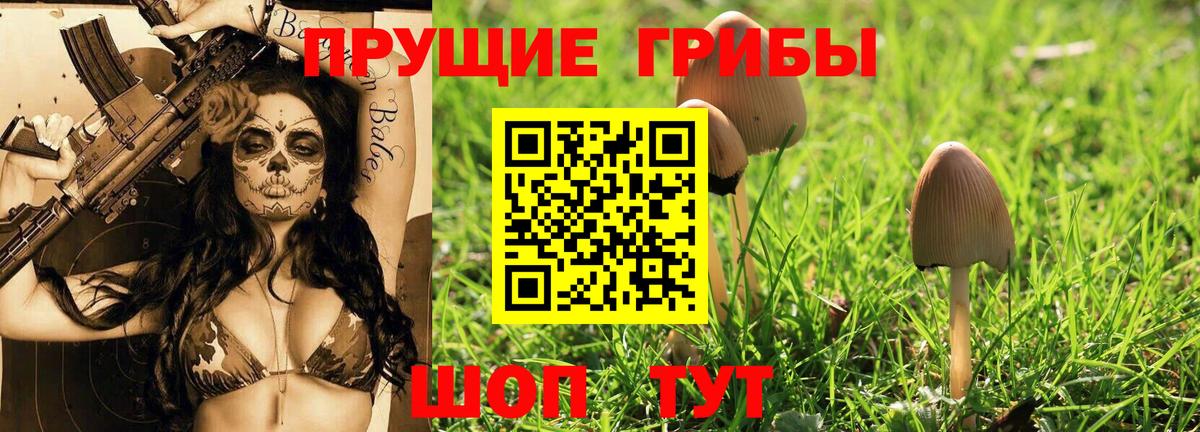 Новотроицк  закладка  Галлюциногенные грибы мухоморы  Вход с VPN  Галлюциногенные грибы MAGIC MUSHROOMS 